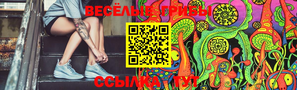 Галлюциногенные грибы Cubensis Зеленокумск
