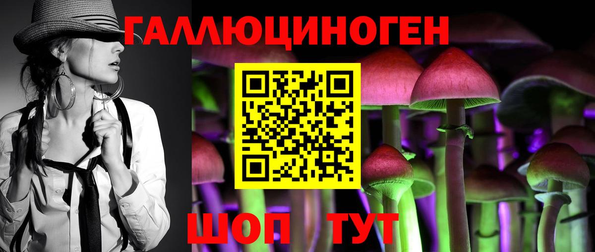 Псилоцибиновые грибы Cubensis  Вход с VPN  Зеленокумск 